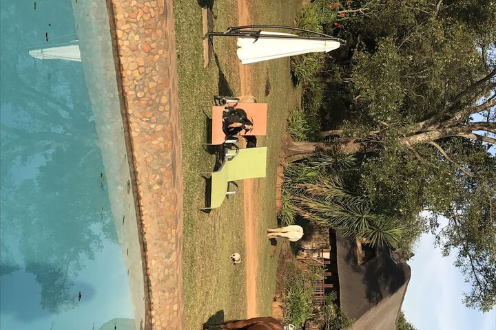 Caracal Lodge - thumb 7
