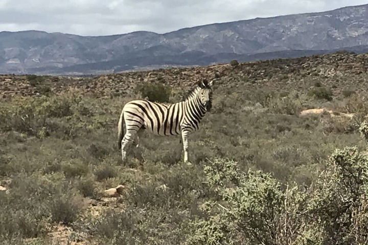 Mountain View Lodge Montagu - thumb 3