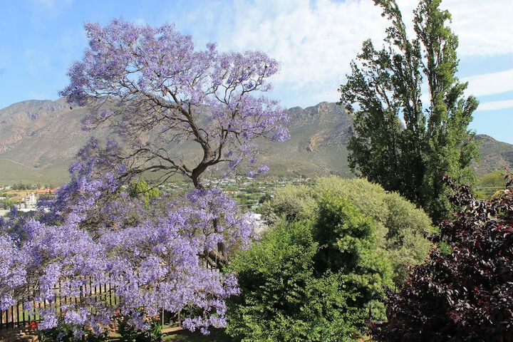 Mountain View Lodge Montagu - thumb 4