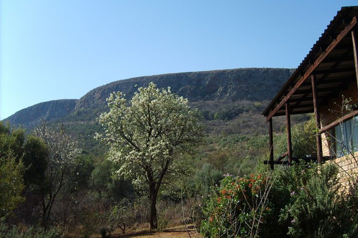 Thirsty Falls Guest Farm - thumb 7