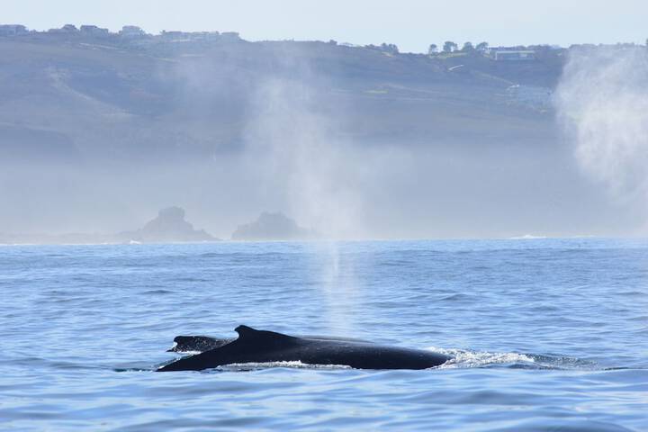 Double Dutch B & B - thumb 5