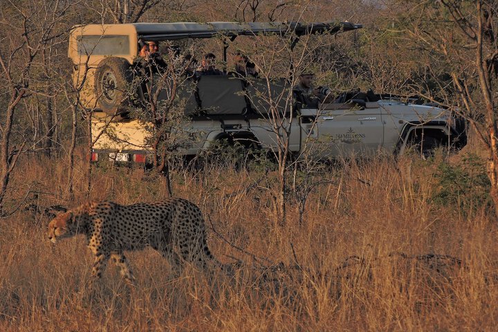 Hamiltons Tented Camp - thumb 5