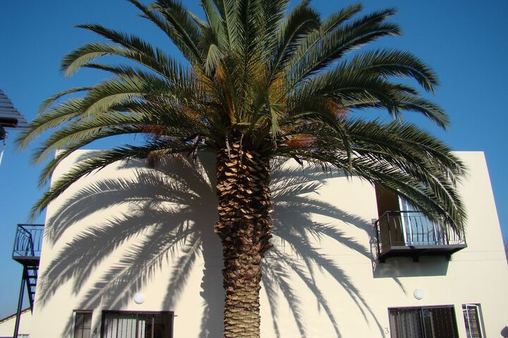 Louhallas Bed & Breakfast - thumb 7