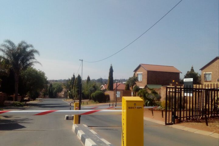 The Royal Princess Garden - Honeydew - thumb 3