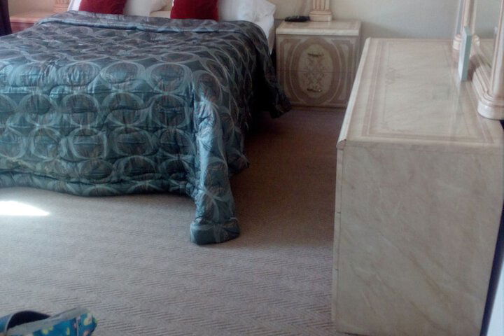 The Royal Princess Garden - Honeydew - thumb 7