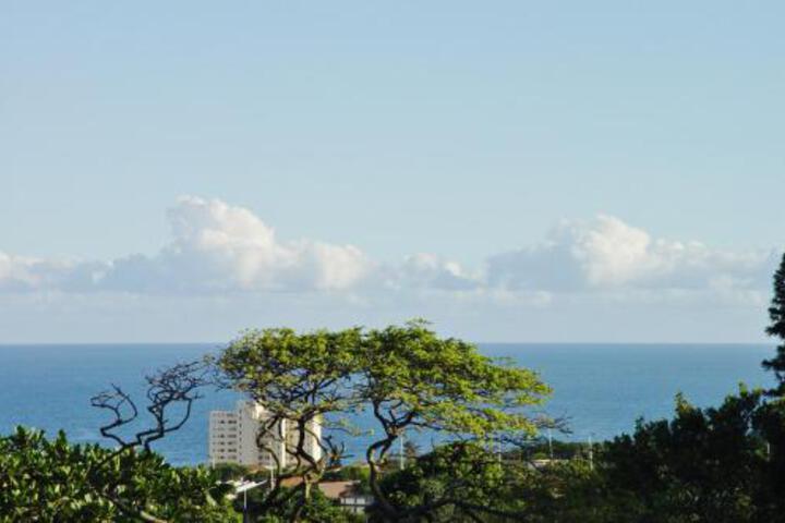 Umbrella Tree B & B - thumb 1