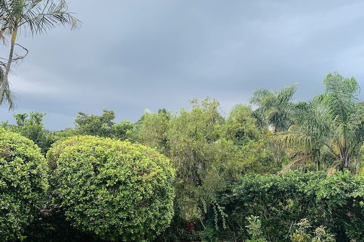 Edens Guest House - thumb 2