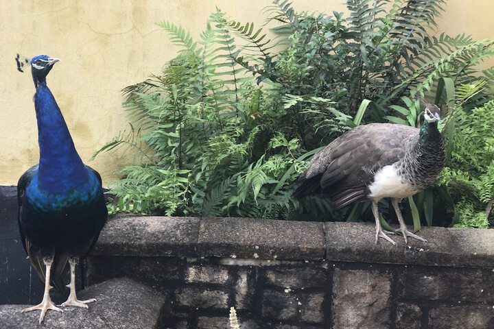 Edens Guest House - thumb 1