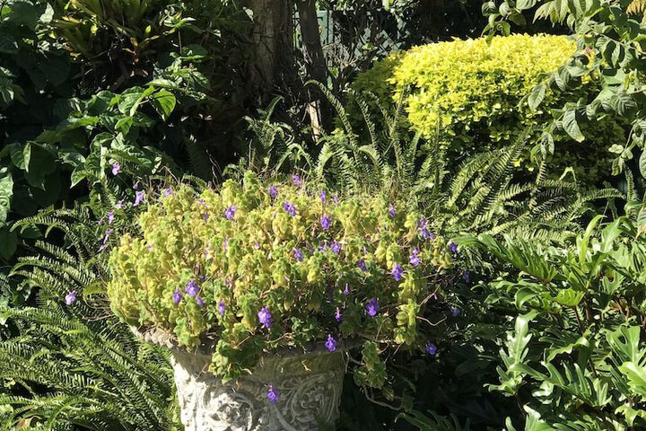 Edens Guest House - thumb 5