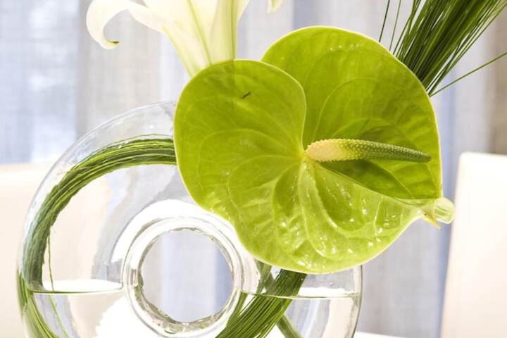 Atlantic Affair Boutique Hotel - thumb 4