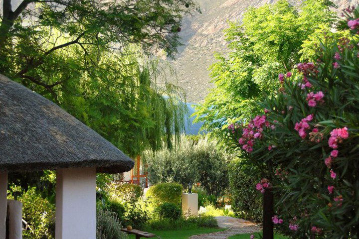 Mimosa Lodge - thumb 6