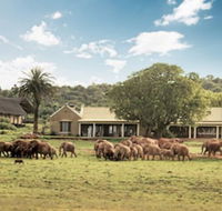 Gorah Elephant Camp - Accommodation Africa