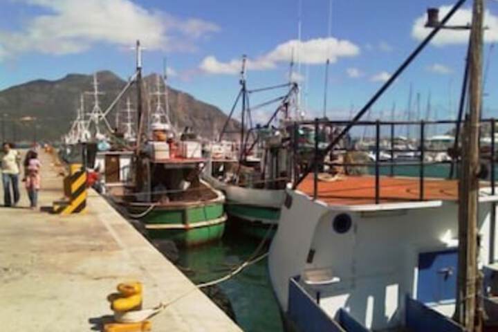 Seacliffe Lodge - thumb 3