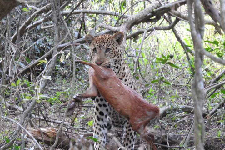 Elephant Lake Hotel - thumb 1