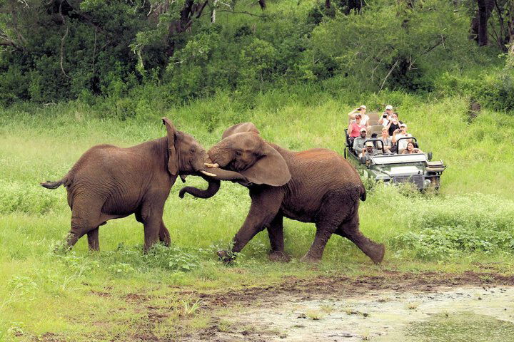 Thanda Safari - thumb 1