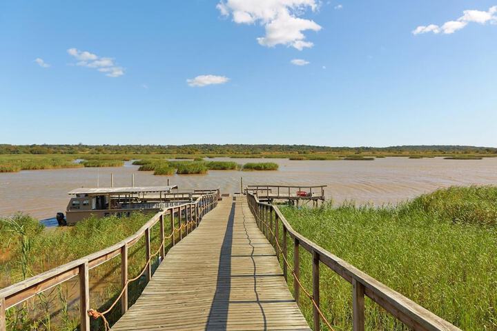 Perna Perna St Lucia - thumb 4