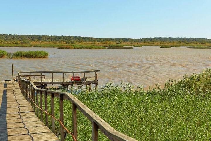 Perna Perna St Lucia - thumb 1