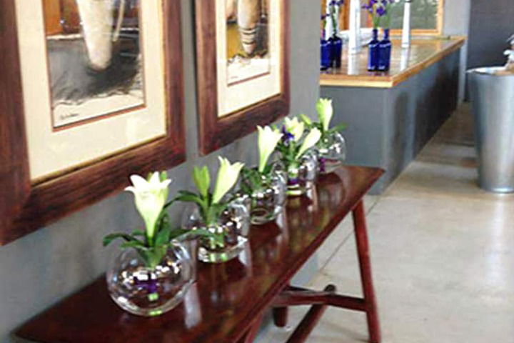 Verlorenkloof Estate - thumb 5