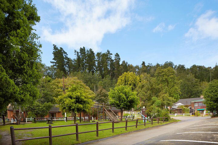 Gooderson Knysna Chalets - thumb 4