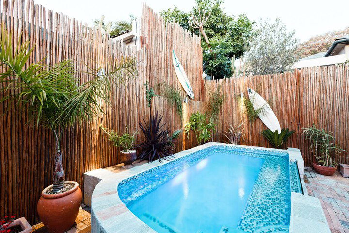 Sweet Olive Guesthouse - thumb 4