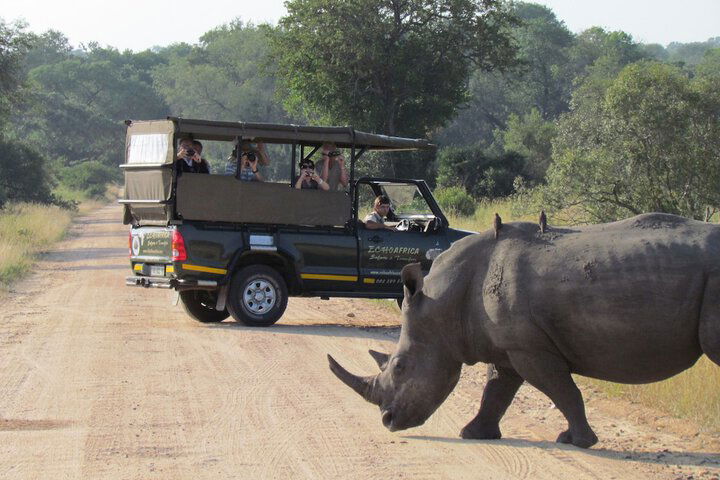 Nkambeni Safari Camp - thumb 5