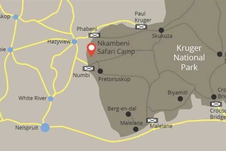 Nkambeni Safari Camp - thumb 3