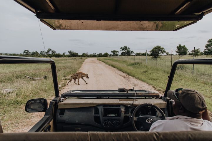 Nkambeni Safari Camp - thumb 1