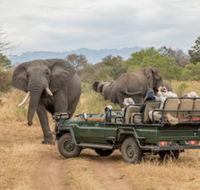 Shiduli Private Game Lodge - Accommodation Africa