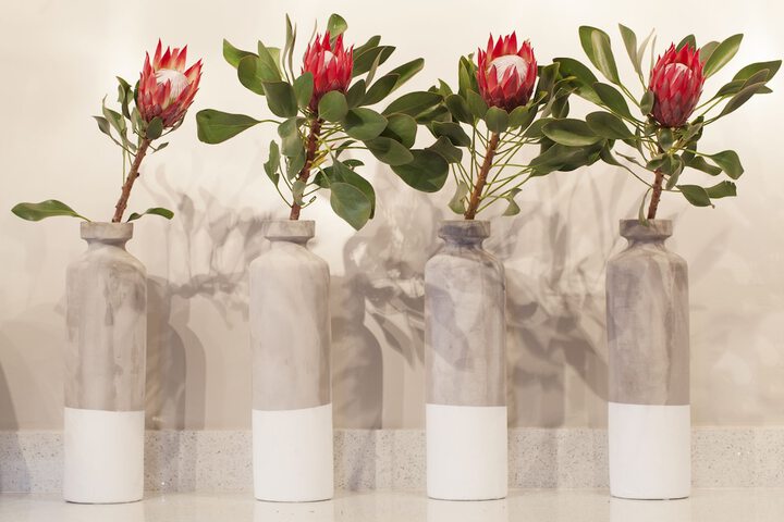 Akanani Apartments - thumb 1