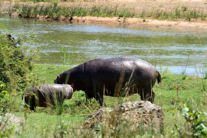 Pestana Kruger Lodge - thumb 2