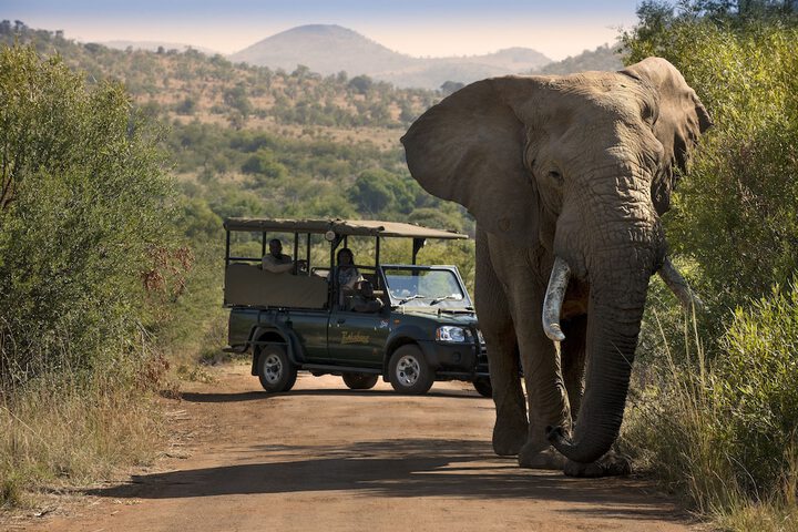 Bakubung Bush Lodge - thumb 7