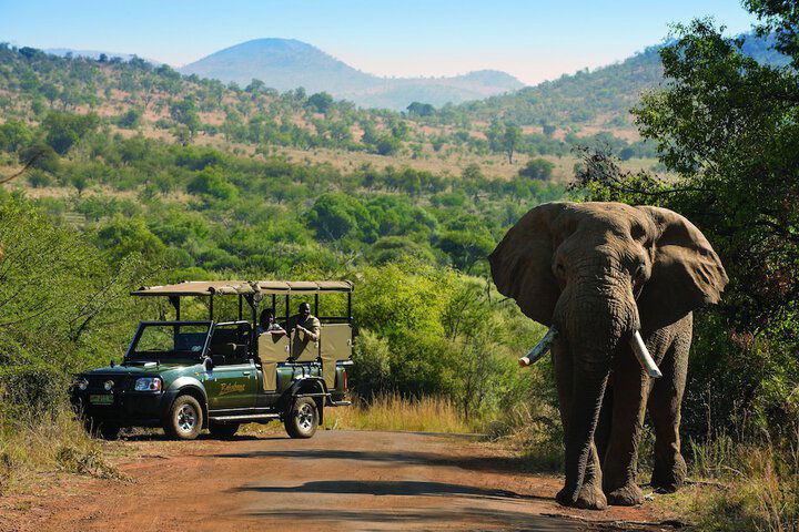 Bakubung Bush Lodge - thumb 1