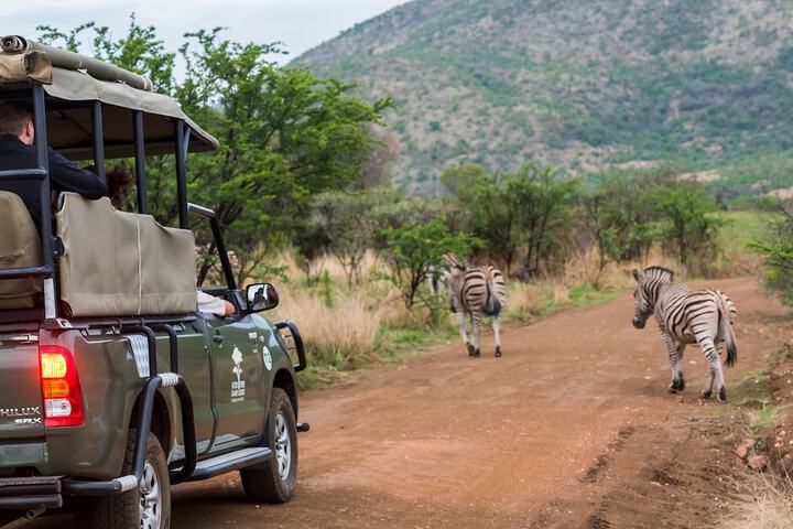 Ivory Tree Game Lodge - thumb 4