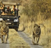 Morokolo Safari Lodge - Accommodation Africa