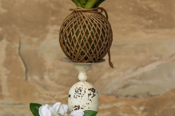 Lionsrock Lodge - thumb 4