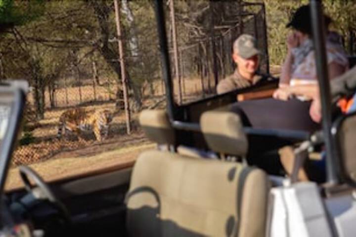 Lionsrock Lodge - thumb 7