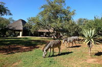 Marloth Park Mpumalanga Accommodation Africa