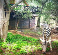 Phumula Kruger Lodge - Accommodation Africa