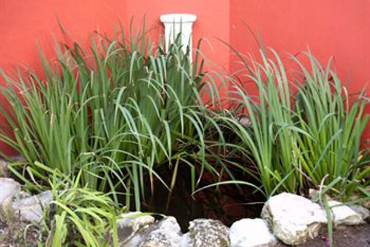 Villa Cape Agulhas Guesthouse - thumb 2