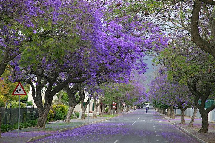 GUBAS DE HOEK Meet Eat Sleep - thumb 3