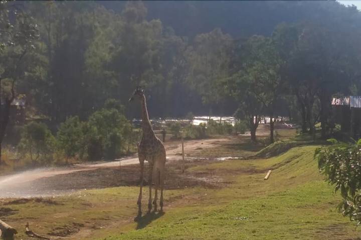 Ruah Park Camping & Outdoor - thumb 6