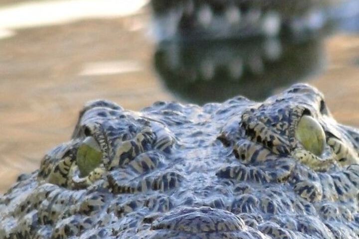 Umndini Safari Resort & Venue - thumb 1