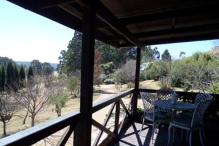 Elands Valley Flufftail - thumb 5