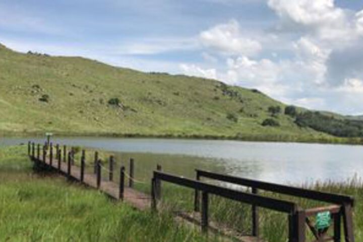 Elands Valley Flufftail - thumb 4