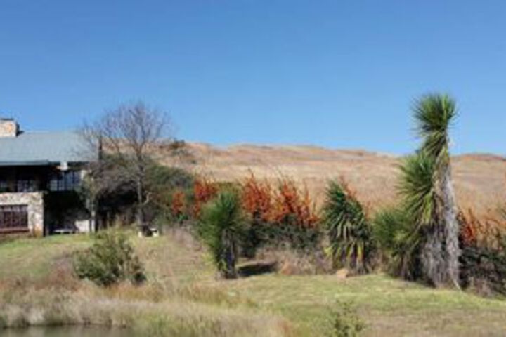 Elands Valley Flufftail - thumb 2