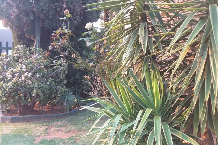 Gift Holiday Home - thumb 6