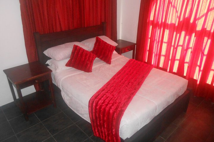 Natal Mahogany - thumb 1