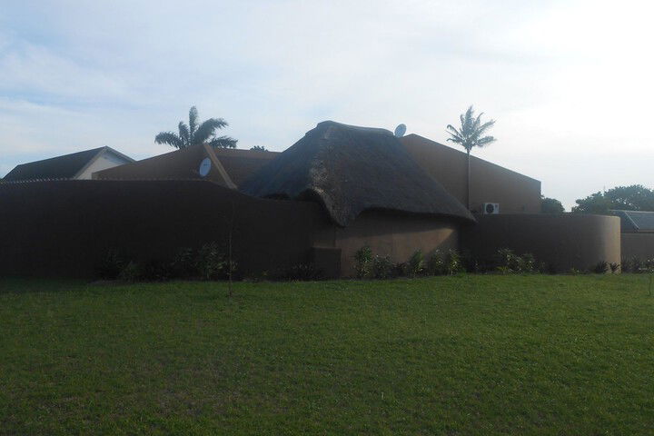 Natal Mahogany - thumb 2