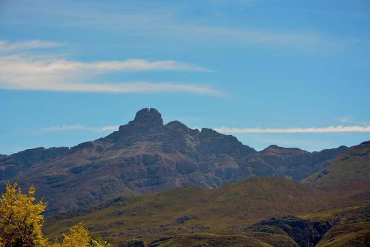 7 Eland Boutique Guesthouse - thumb 5