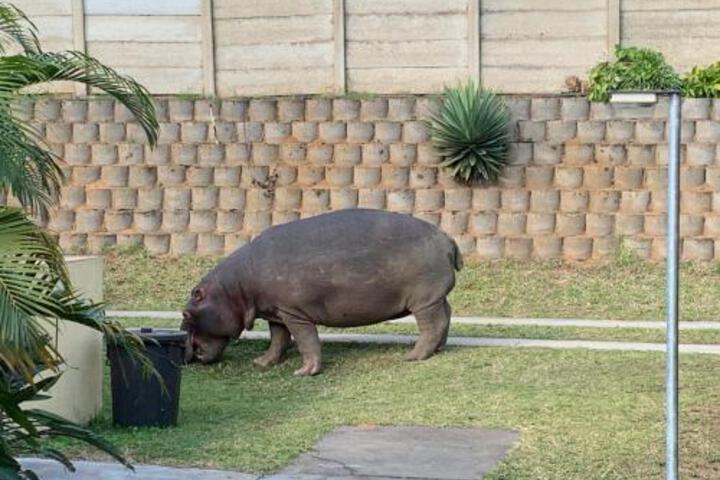 Manzini Holiday Resort - thumb 1